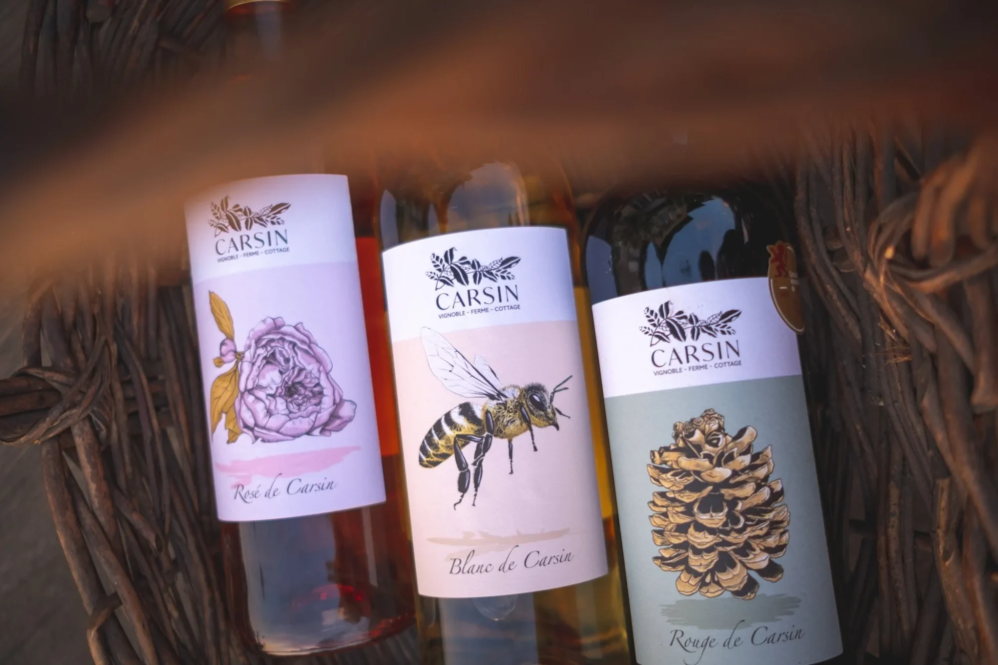 Suomalaista sisua Bordeaux’n viinitarhoilla